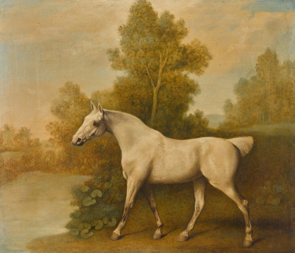 View full screen - View 1 of Lot 185. Rainbow, a grey cob, probably in the grounds of Loddington Hall, Leicestershire.