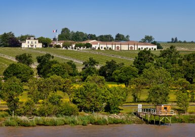 View full screen - View 1 of Lot 126. Château Montrose 2014 (3 MAG).