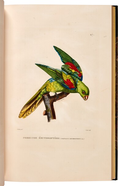 View full screen - View 1 of Lot 34. Louis-Claude de Saulces de Freycinet | Voyage autour du monde. Paris, 1824-1826, 4 atlas volumes.