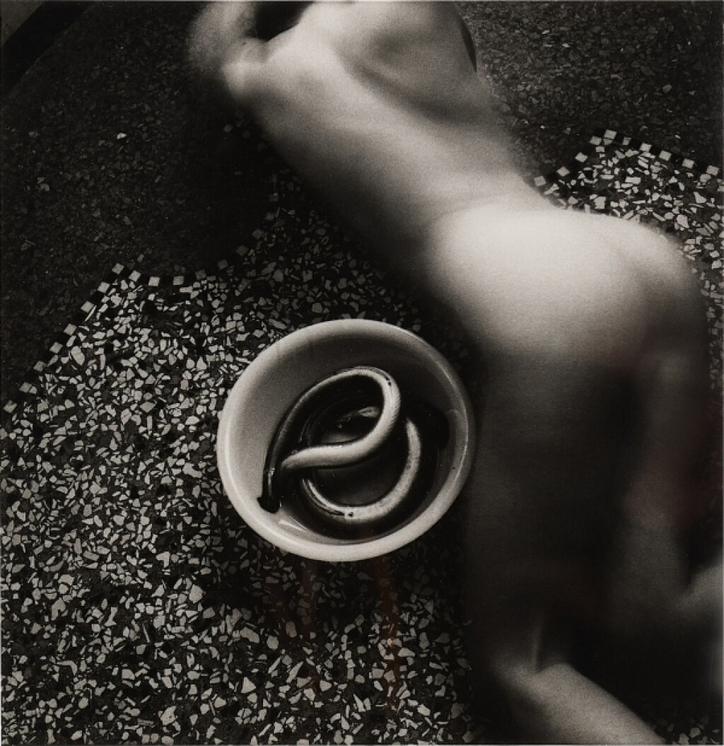 View full screen - View 1 of Lot 83. Untitled (from Eel Series).