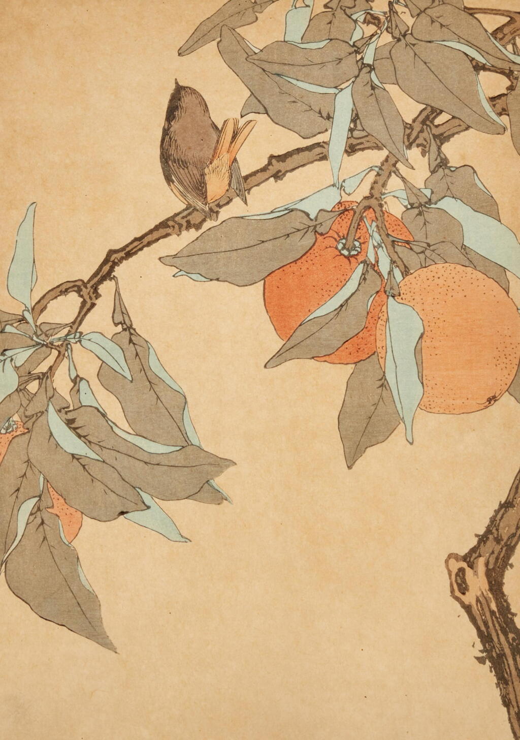 View full screen - View 1 of Lot 1653. Imao Keinen (1845-1924) Yoshimoto Gesso (1881-1936) Kawanabe Gyosui (1868-1935) and another, Seven Japanese woodblock prints depicting birds and flowers, Meiji - Showa period, late 19th -20th century.