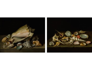 View full screen - View 1 of Lot 206. NIKOLAUS CHRISTOPHER MATTHES | STILL LIFES OF EXOTIC SHELLS ON A MARBLE LEDGE.
