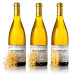 Montrachet 2006 Domaine de la Romanée-Conti (3 BT)