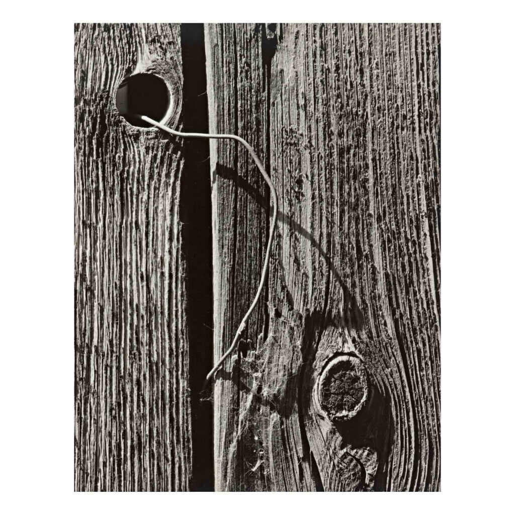 View full screen - View 1 of Lot 64. 'Texture Detail, Old Barn'.