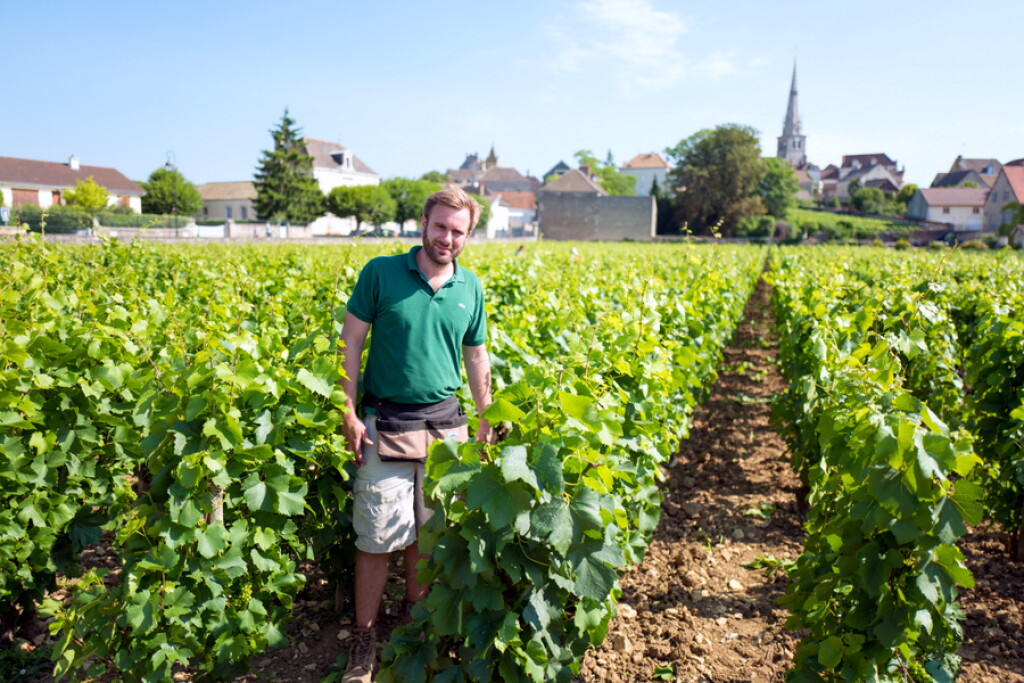 View full screen - View 1 of Lot 1466. Chambertin 2012 Charles Van Canneyt (6 BT).