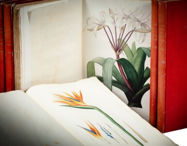 View full screen - View 1 of Lot 44. Les Liliacées. 1802-1813. 6 volumes (sur 8). Cartonnage de l'époque. Édition originale du chef-d’œuvre de Redouté. Exemplaire du sculpteur François-Frédéric Lemot..