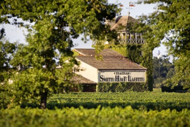 View full screen - View 1 of Lot 290. Château Smith Haut Lafitte 2018 (6 BT).