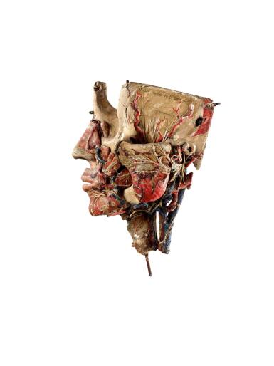 View full screen - View 1 of Lot 9719. A small detachable anatomic head by Louis Thomas Jerome Auzoux (1797-1880) France, 19th century 十九世紀 法國 Louis Thomas Jerome Auzoux(1797-1880年)製紙雕頭部解剖小模型.