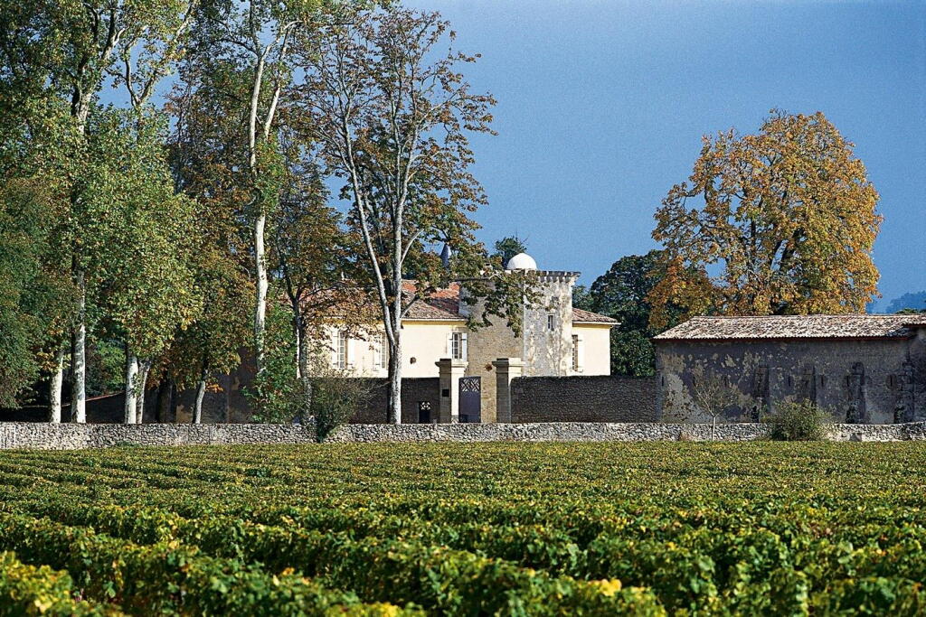 View full screen - View 1 of Lot 378. Château Coutet 2015 (12 BT).