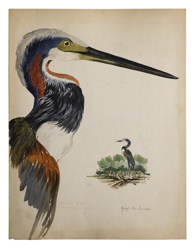 View full screen - View 1 of Lot 21. TROPICAL HERON.