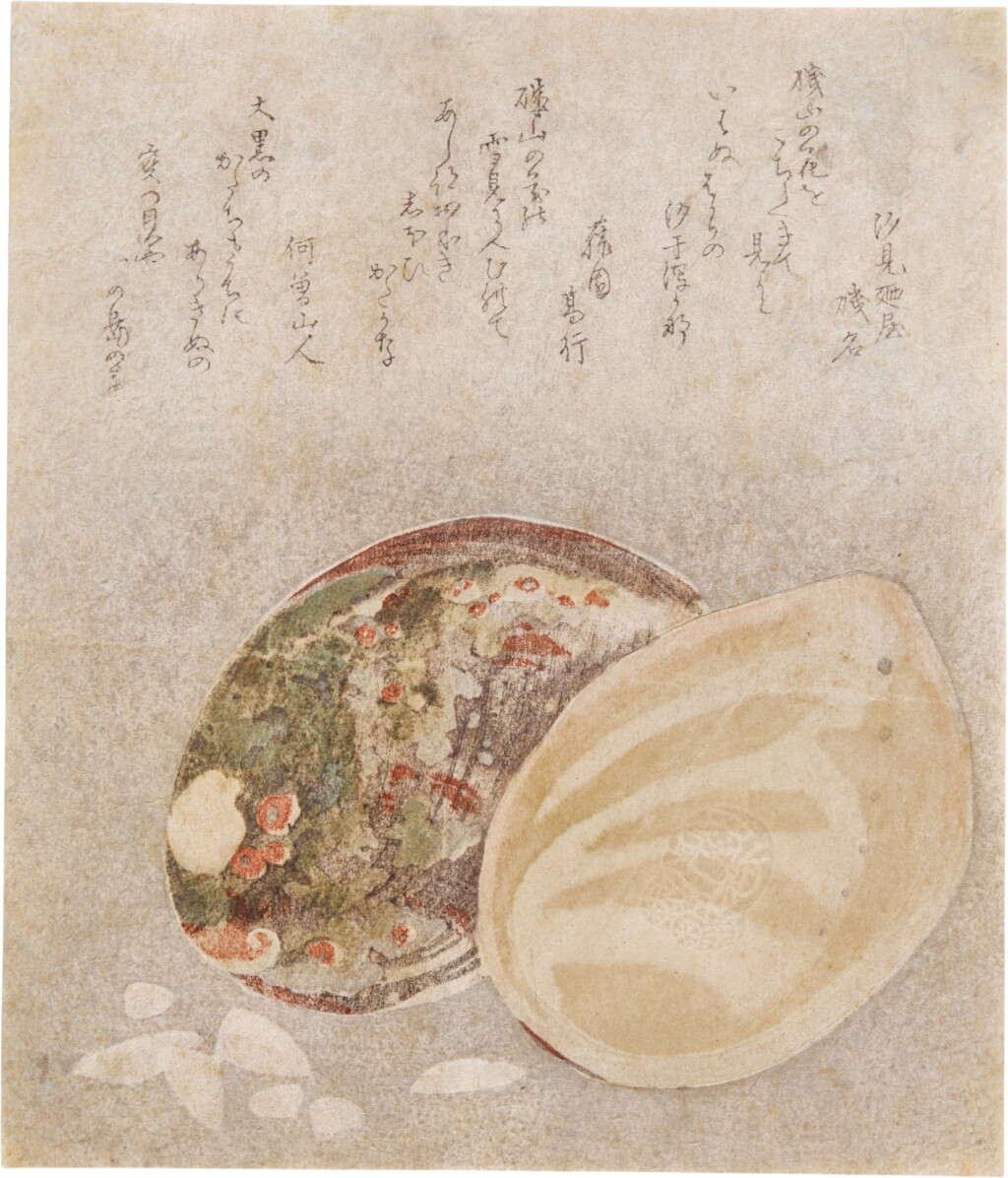 View full screen - View 1 of Lot 68. Anonymous | Bivalve | Edo period, 19th century.