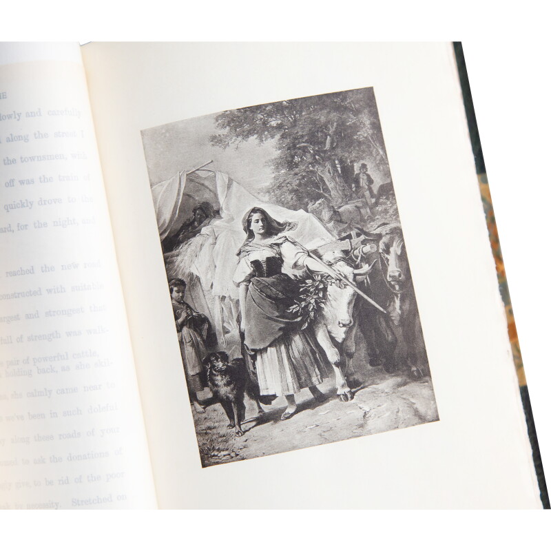 Cover image 0