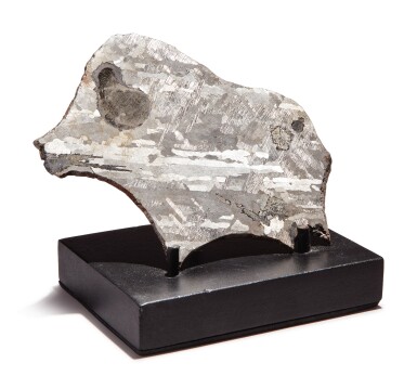 View full screen - View 1 of Lot 118. RARE ZOOMORPHIC METEORITE – AN ODESSA METEORITE IN THE NATURAL FORM OF A BOAR.