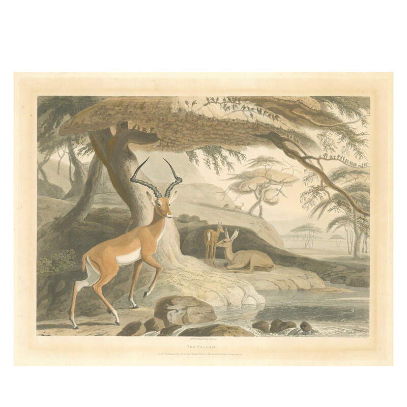 Cover image 0