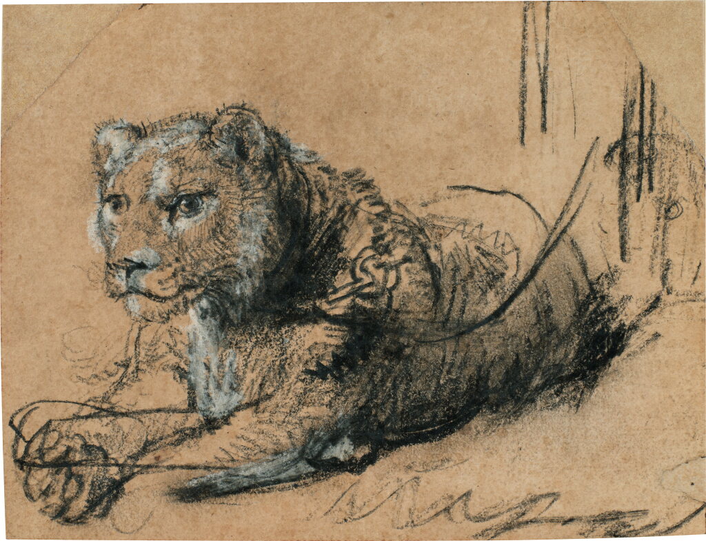 View full screen - View 1 of Lot 201. Young Lion Resting .