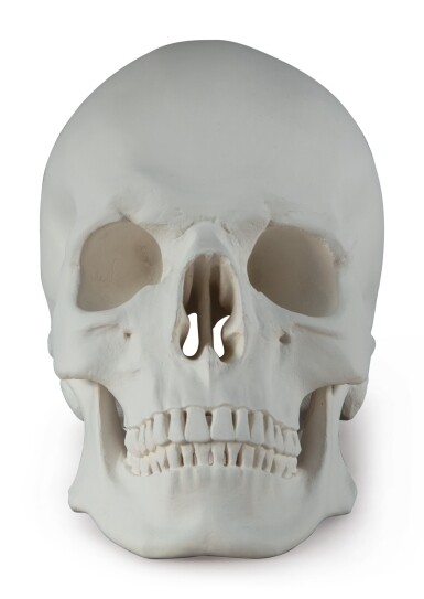 View full screen - View 1 of Lot 578. KATHARINA FRITSCH | TOTENKOPF (SKULL).