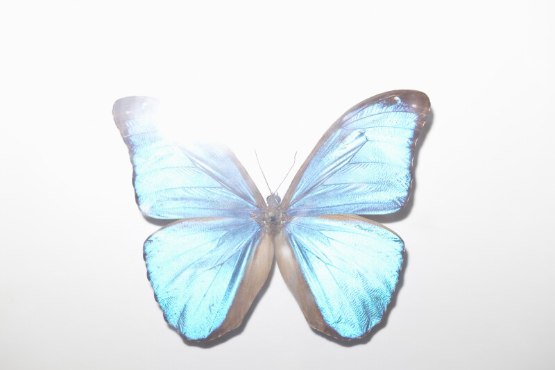 Cover image 0