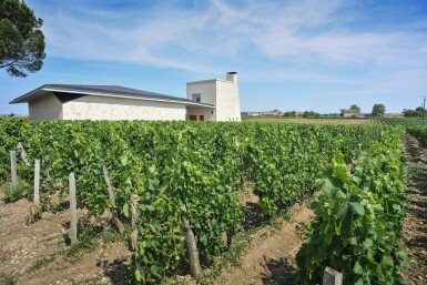 View full screen - View 1 of Lot 78. Le Pin 2016 (3 BT).