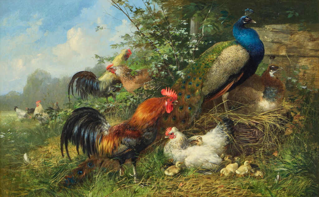 View full screen - View 1 of Lot 237. Fowl and Peacocks.