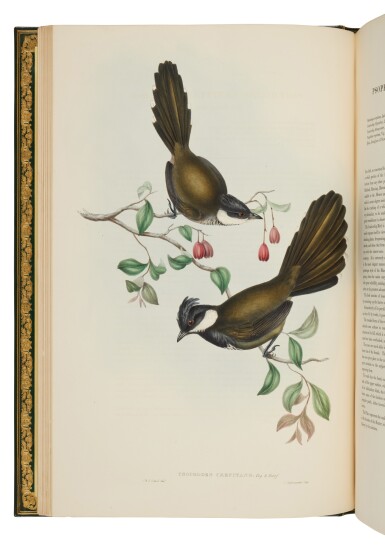 View full screen - View 1 of Lot 63. Gould, John | Gould's largest and most important work.
