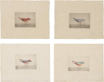 OISEAU COLORIÉ À L'AQUARELLE