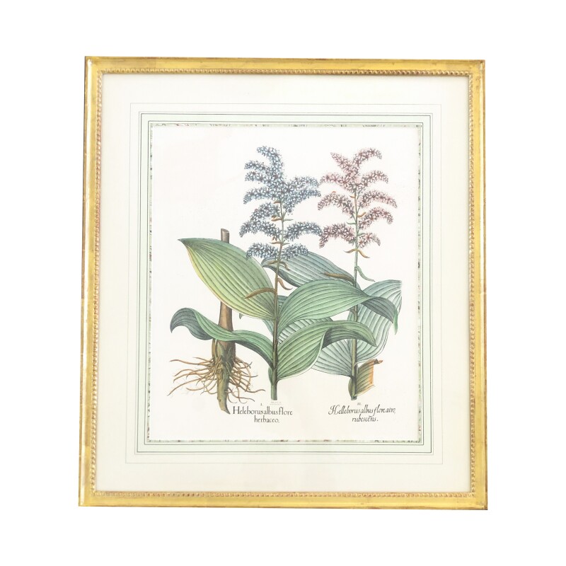 Cover image 0