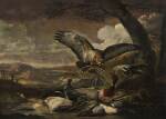 Ducks hunted by an eagle