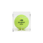 Alexander Zverev v. Ben Shelton 2026 US Open Final 'Championship Clinching' Match Point Tennis Ball | Set 4 | Zverev First US Open Championship