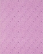 Fatebe A Quiet Pattern (Violet Edition)