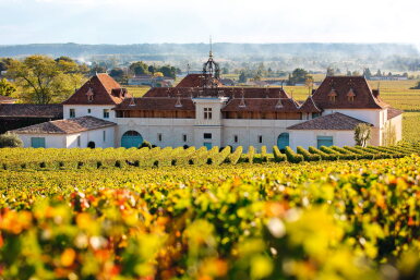 View full screen - View 1 of Lot 1175. Château Angélus 2015 (3 DM).