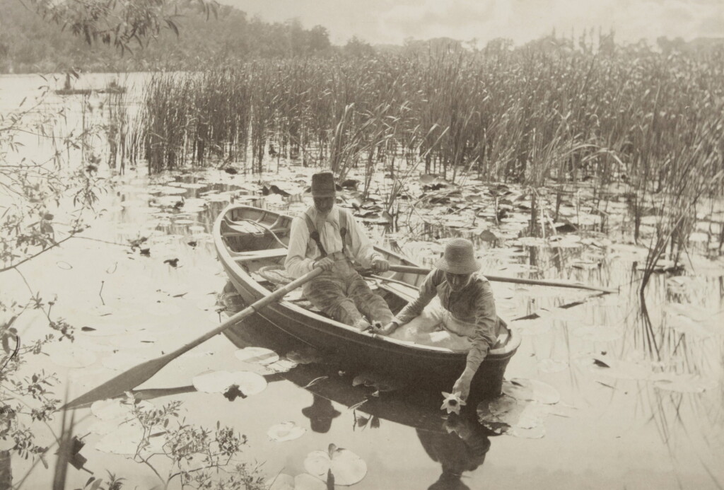 View full screen - View 1 of Lot 23. 'Gathering Water-Lilies'.