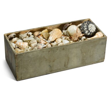 View full screen - View 1 of Lot 9. A collection of assorted sea shells, 19th century.