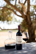 Burgess Cellars, Cabernet Sauvignon, Napa Valley 2006 (12 BT)