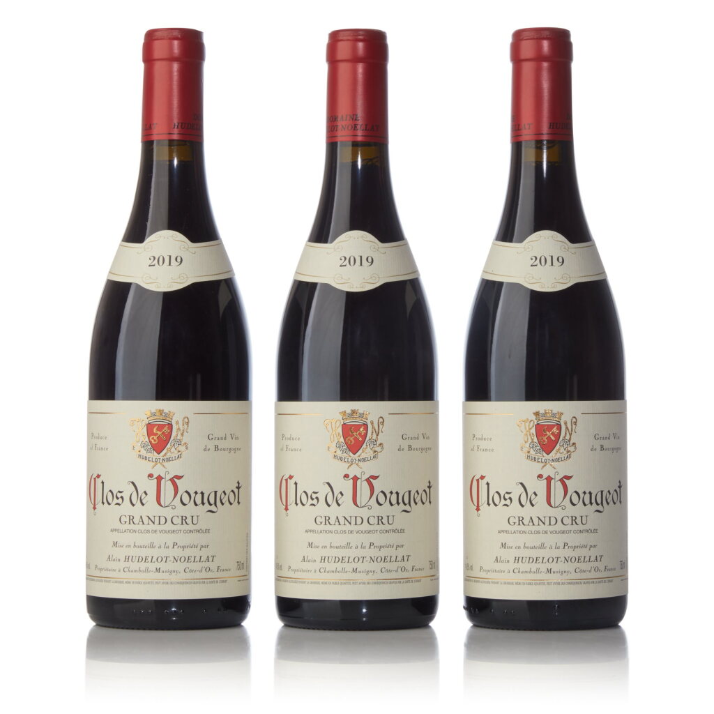 View full screen - View 1 of Lot 1273. Clos de Vougeot 2019 Alain Hudelot-Noëllat (6 BT).