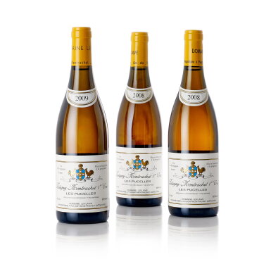 View full screen - View 1 of Lot 9528. Puligny Montrachet, Les Pucelles Domaine Leflaive Vertical (6 BT).