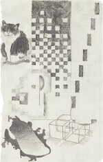 lattice organism