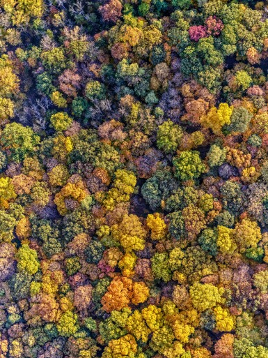 View full screen - View 1 of Lot 592. Hudson Valley Fall 02.