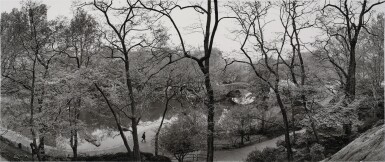 View full screen - View 1 of Lot 50. Central Park.