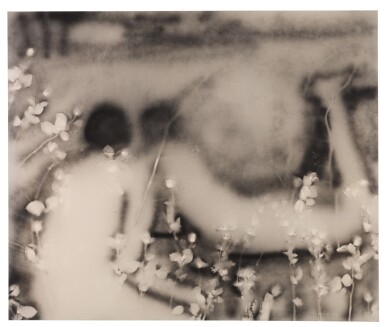 View full screen - View 1 of Lot 34. Land.