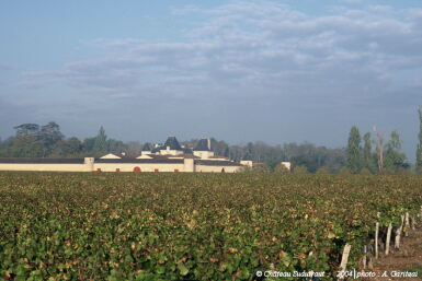 View full screen - View 1 of Lot 179. Château Suduiraut 1967 (9 BT).