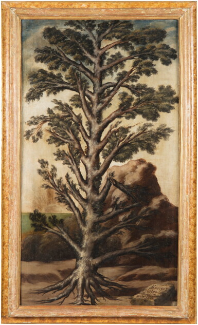 View full screen - View 1 of Lot 215. Italian School, Early 18th Century, A Tree | Ecole italienne du début du XVIIIe siècle, Un Arbre.
