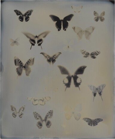 View full screen - View 1 of Lot 28. Untitled (from My Ghost).