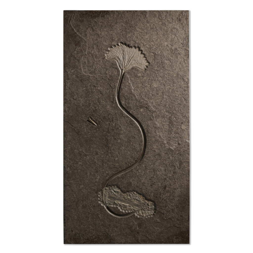 View full screen - View 1 of Lot 6. Sea Lily (Crinoid) Mural With Belemnite.