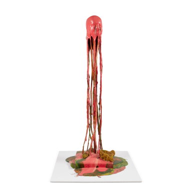 View full screen - View 1 of Lot 313. Thick Pink Nervous Breakdown.