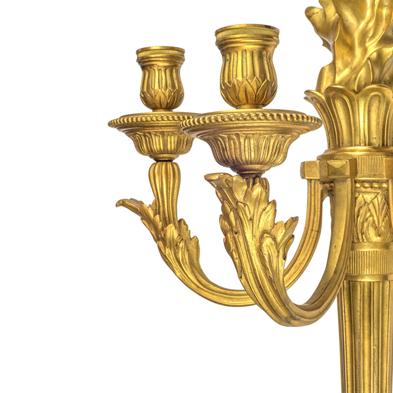 Cover image 0