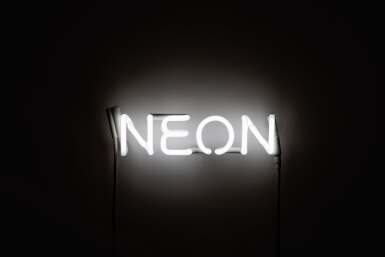 View full screen - View 1 of Lot 244. 'Neon (Self-Defined)'.