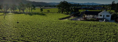 View full screen - View 1 of Lot 21. Revana Estate | Tour & Three Course Wine Paired Lunch .