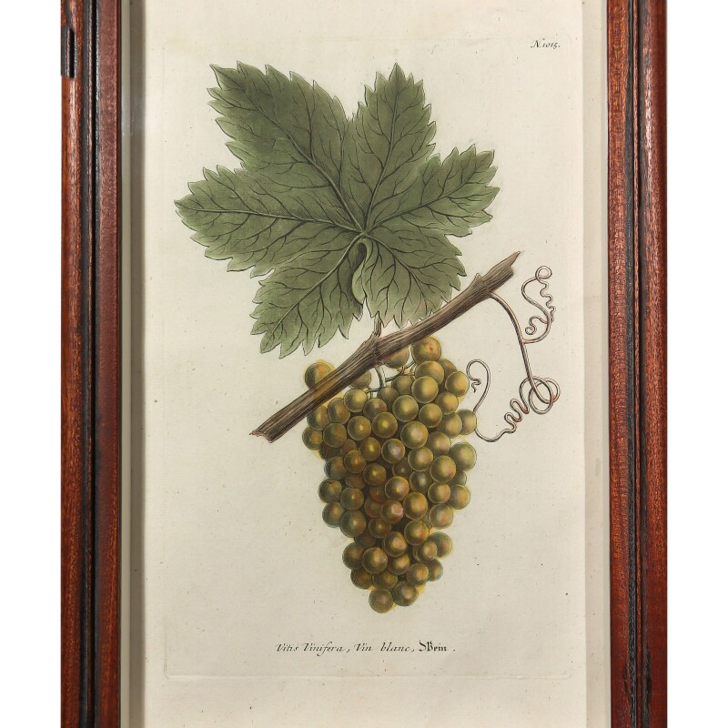 Cover image 0