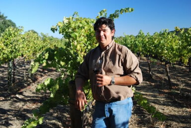 View full screen - View 1 of Lot 57. Mira Winery, Cabernet Franc, Yountville 2021 (60 BT).