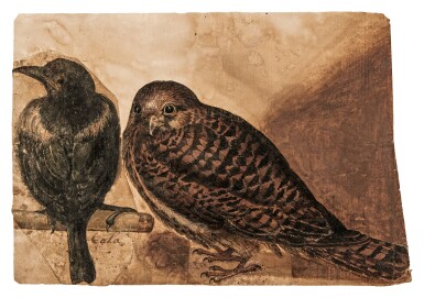 View full screen - View 1 of Lot 729. Studies of a magpie and a kestrel.
